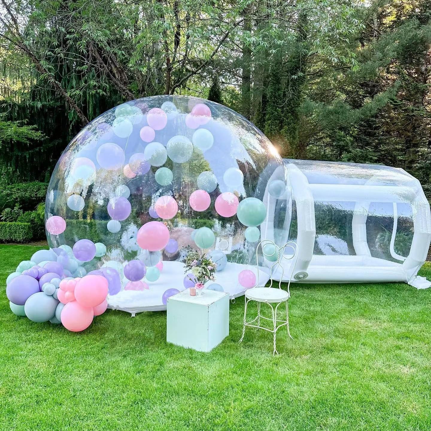 bubble dome